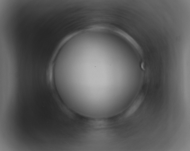 X0000100770862200807031209