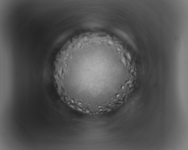 X0000100770871200807031208