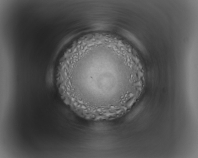 X0000100770875200807031208