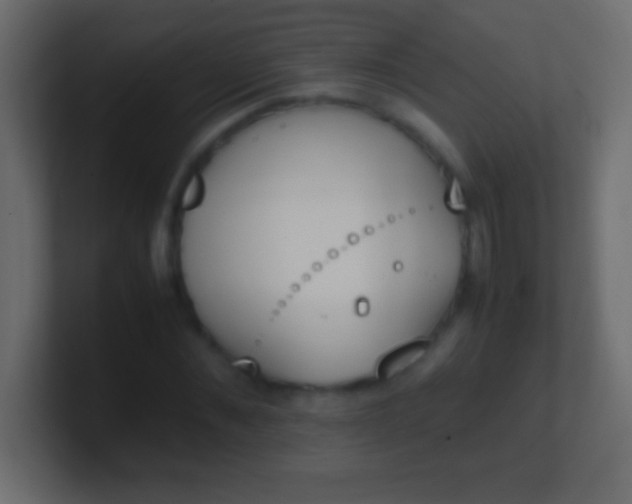 X0000100770876200807031208