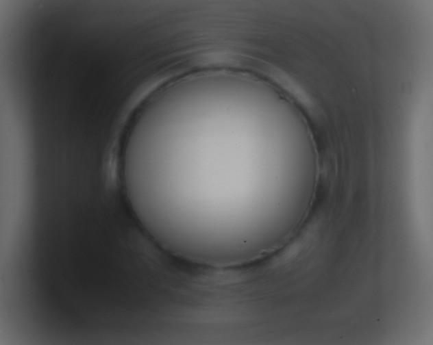 X0000100770877200807031208