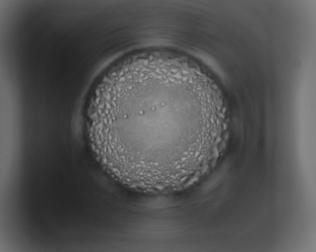 X0000100770879200807031208