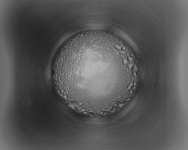 X0000100770883200807031208