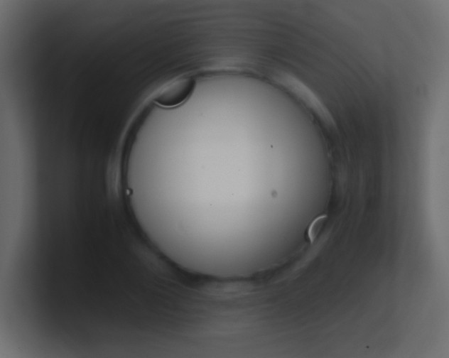 X0000100770884200807031208