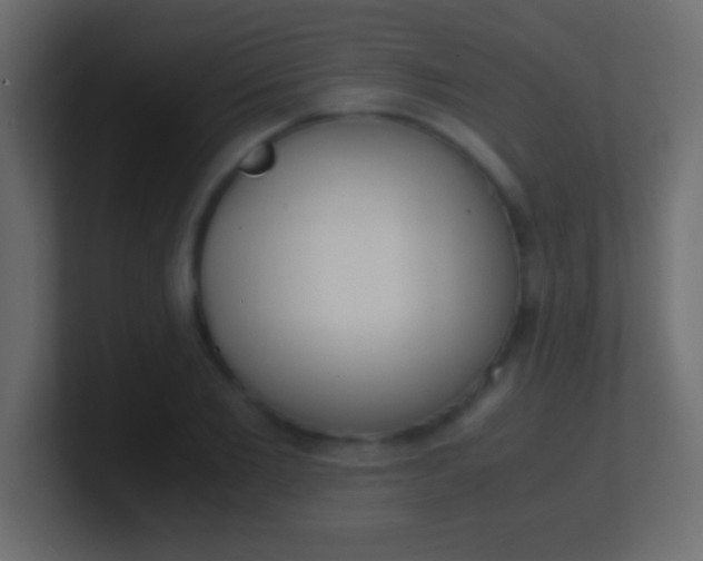 X0000100770885200807031208