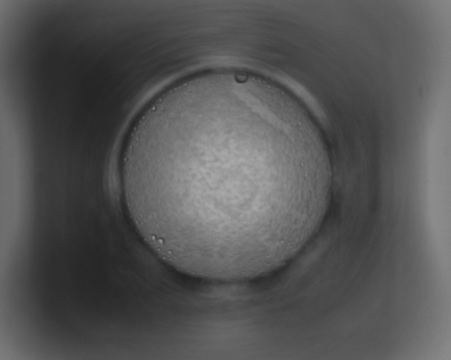 X0000100770887200807031208