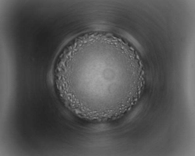 X0000100770891200807031208