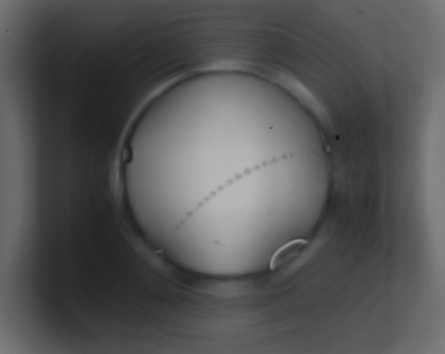 X0000100770892200807031208