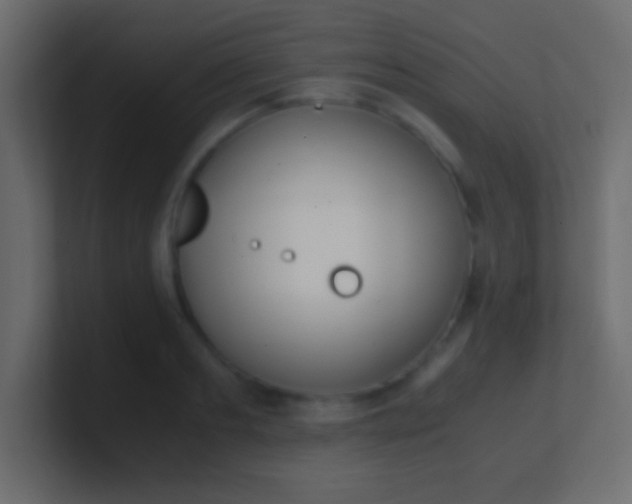 X0000100770893200807031208
