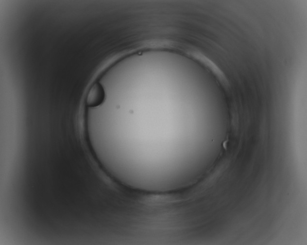 X0000100770894200807031208