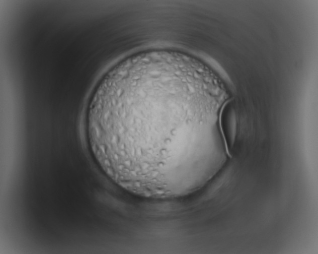 X0000100770895200807031208