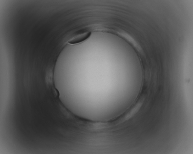 X0000100770897200807031208