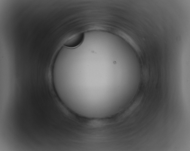 X0000100770898200807031208