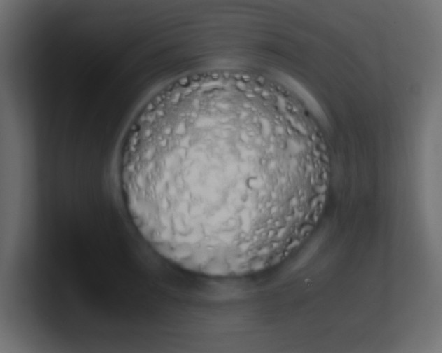X0000100770899200807031208