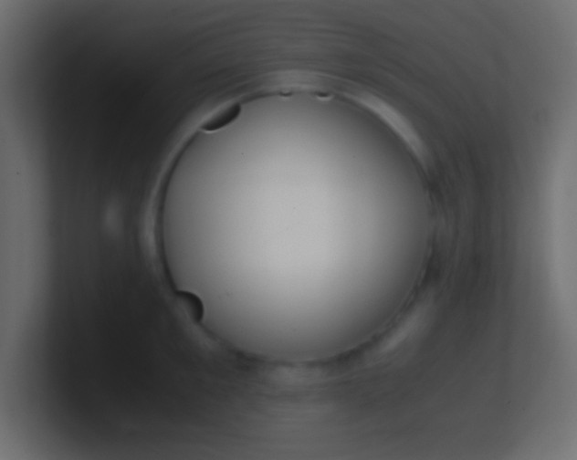 X0000100770901200807031208