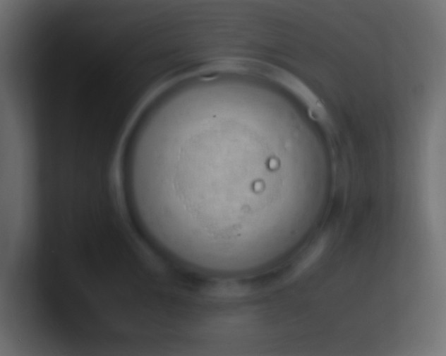 X0000100770907200807031208