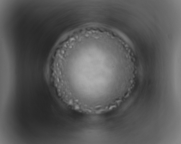 X0000100770911200807031208