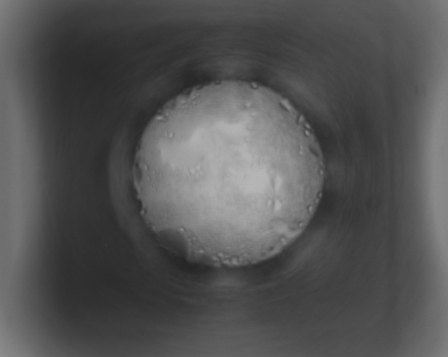 X0000100770913200807031207