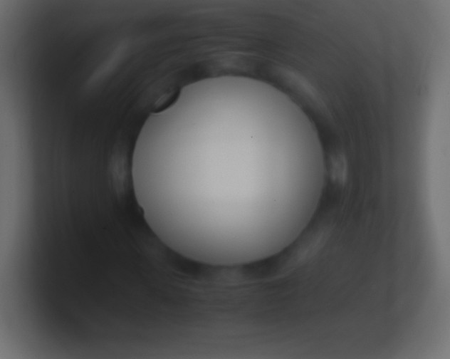 X0000100770915200807031207