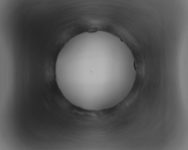 X0000100770916200807031207