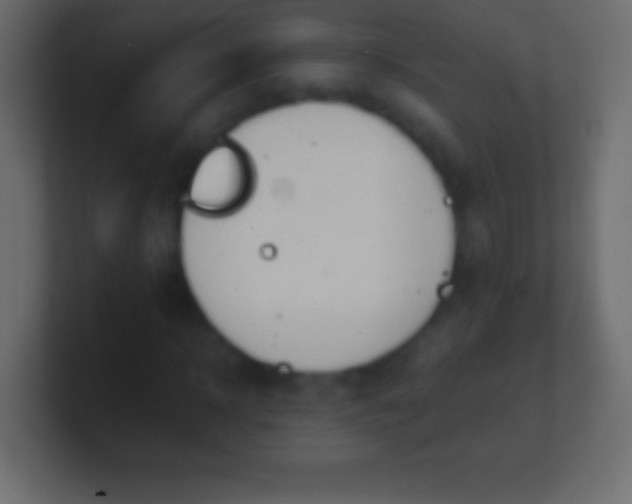 X0000100770918200807031207