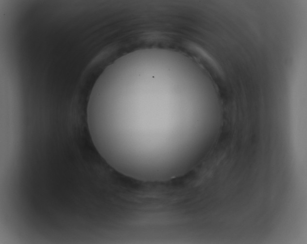 X0000100770919200807031207
