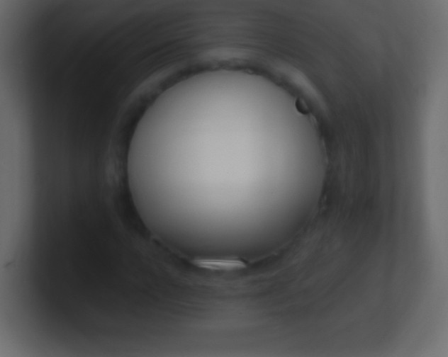 X0000100770920200807031207