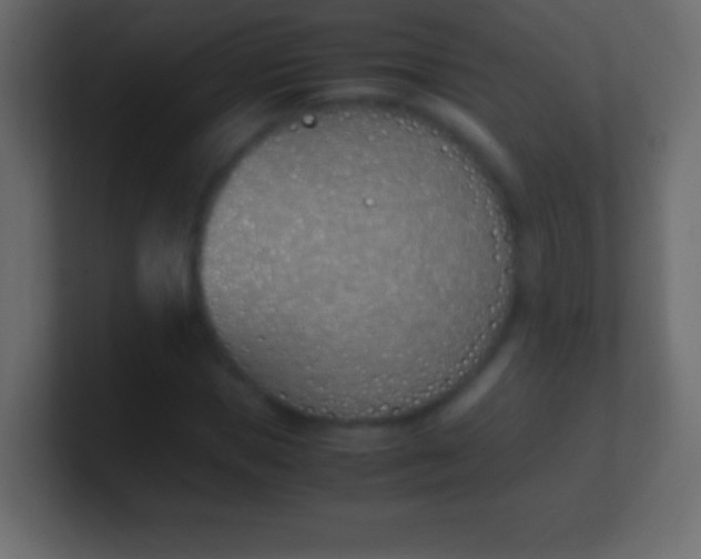 X0000100770921200807031207