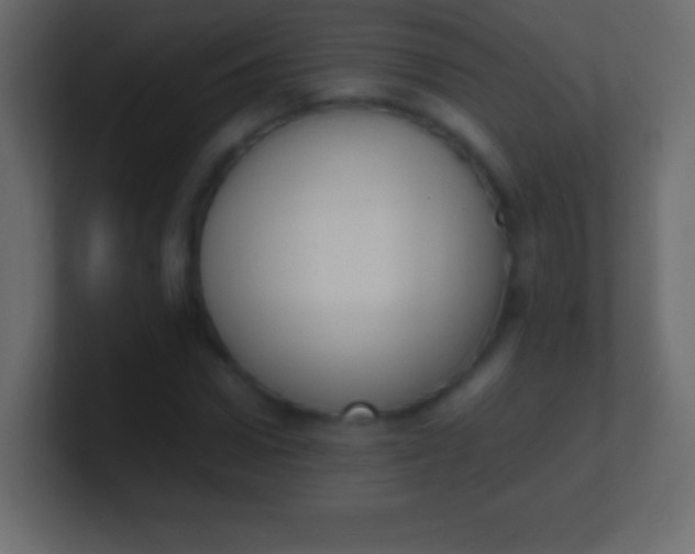 X0000100770922200807031207