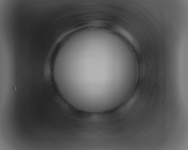 X0000100770923200807031207