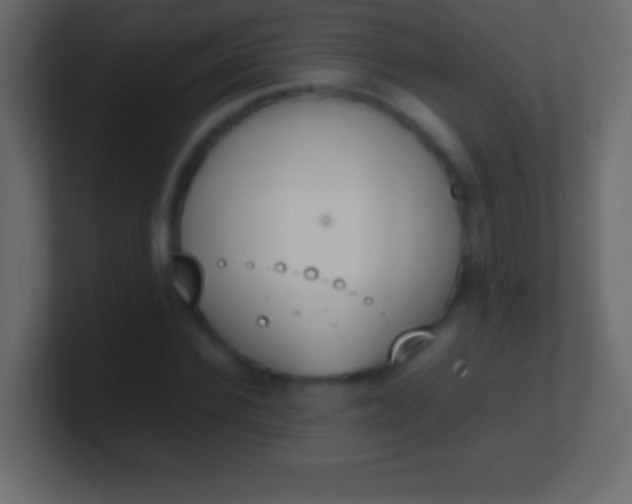 X0000100770924200807031207