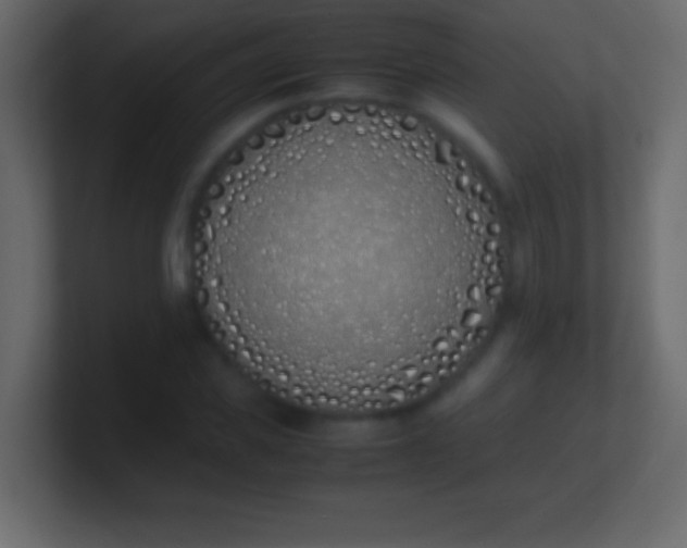 X0000100770925200807031207