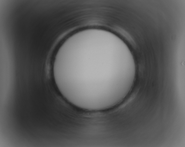 X0000100770926200807031207