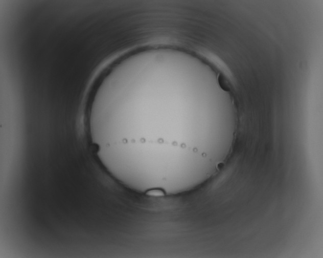 X0000100770928200807031207