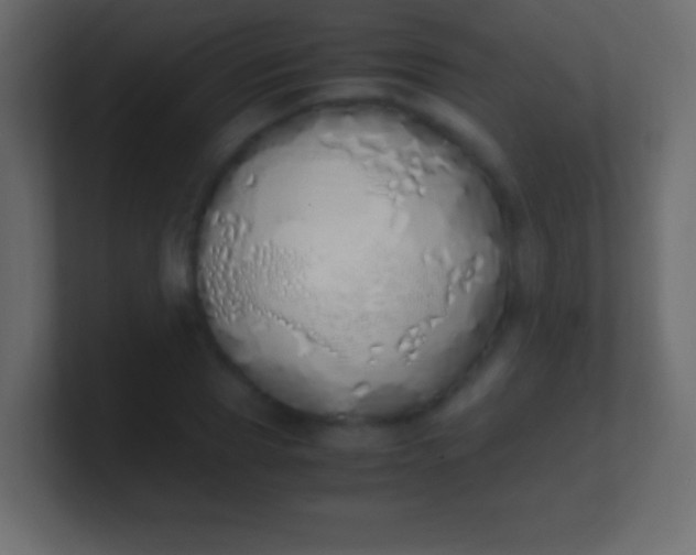 X0000100770929200807031207