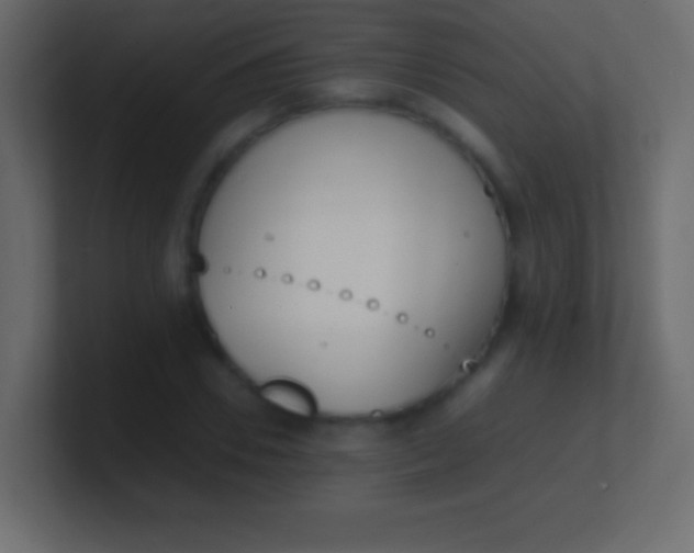 X0000100770930200807031207