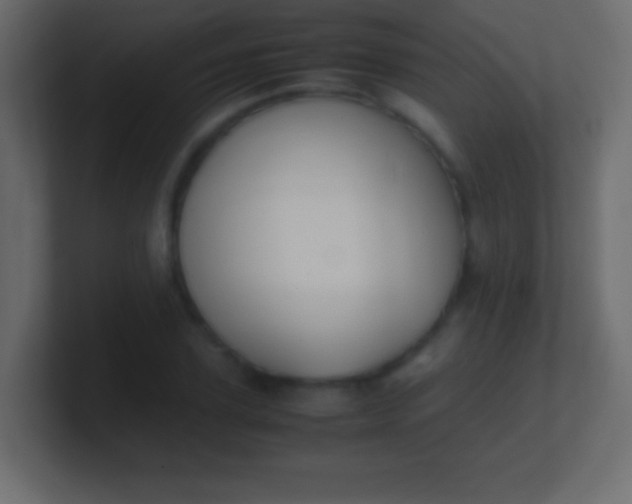 X0000100770931200807031207