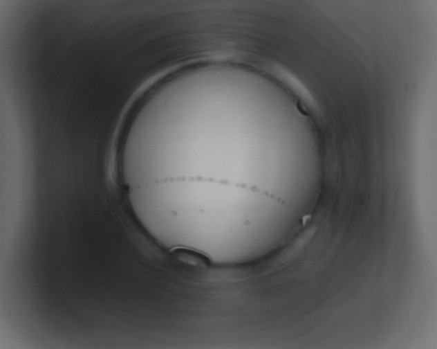 X0000100770932200807031207