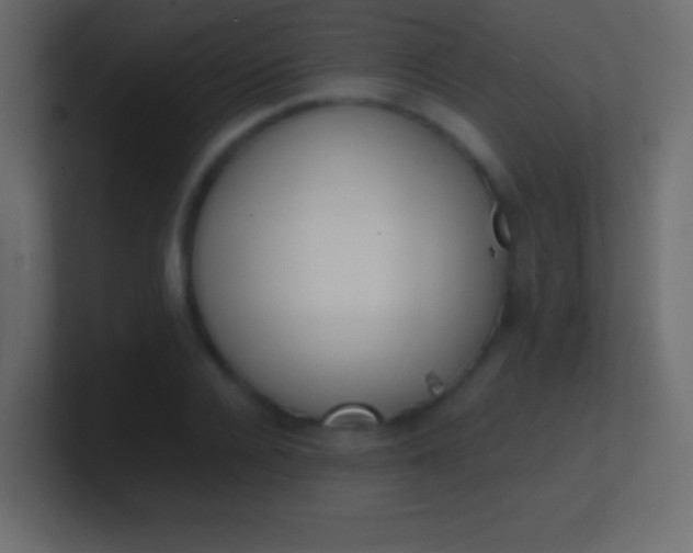 X0000100770936200807031207
