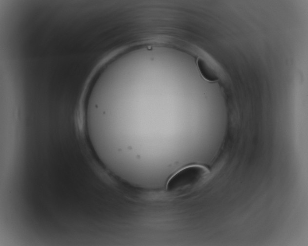 X0000100770940200807031207