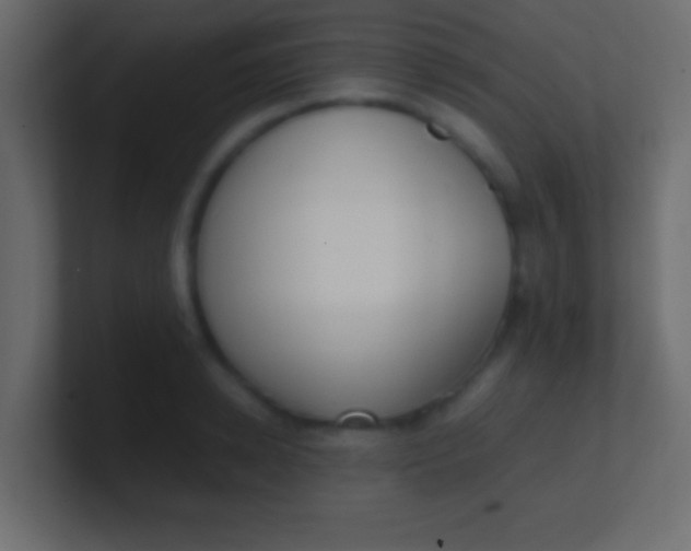 X0000100770942200807031207