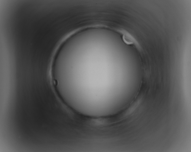 X0000100770943200807031207
