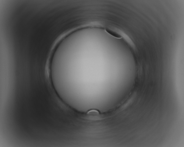 X0000100770944200807031207