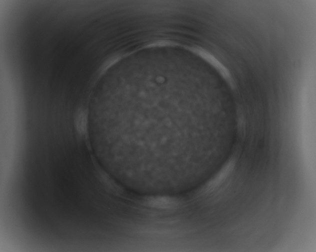 X0000100770945200807031207