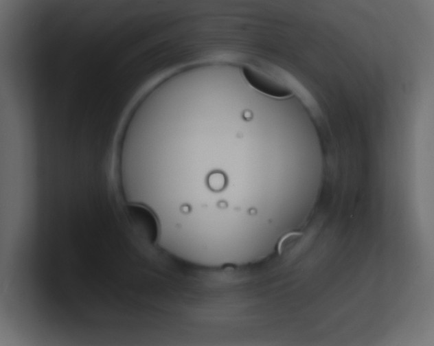 X0000100770948200807031207