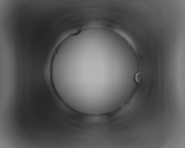 X0000100770949200807031207
