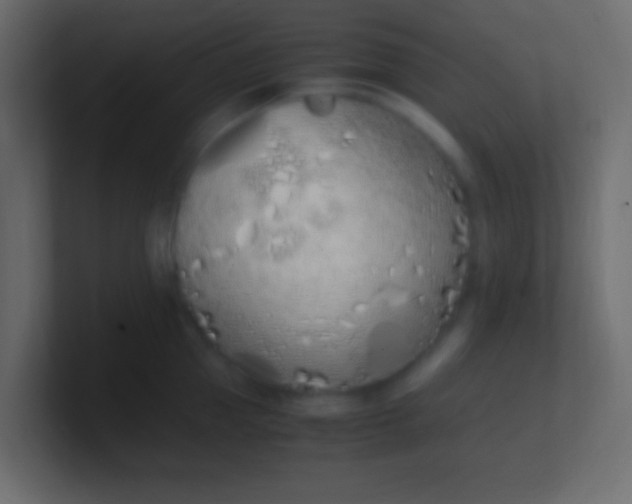 X0000100770953200807031207