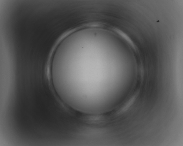 X0000100770959200807031207