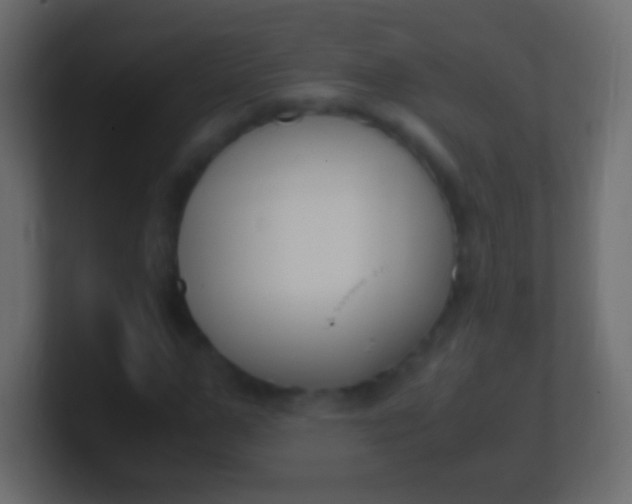 X0000100770967200807031207