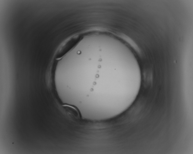 X0000100770972200807031207